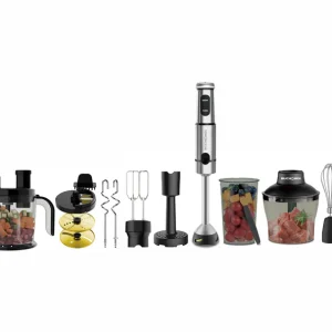 All In 1 Food processor + Immersion Blender